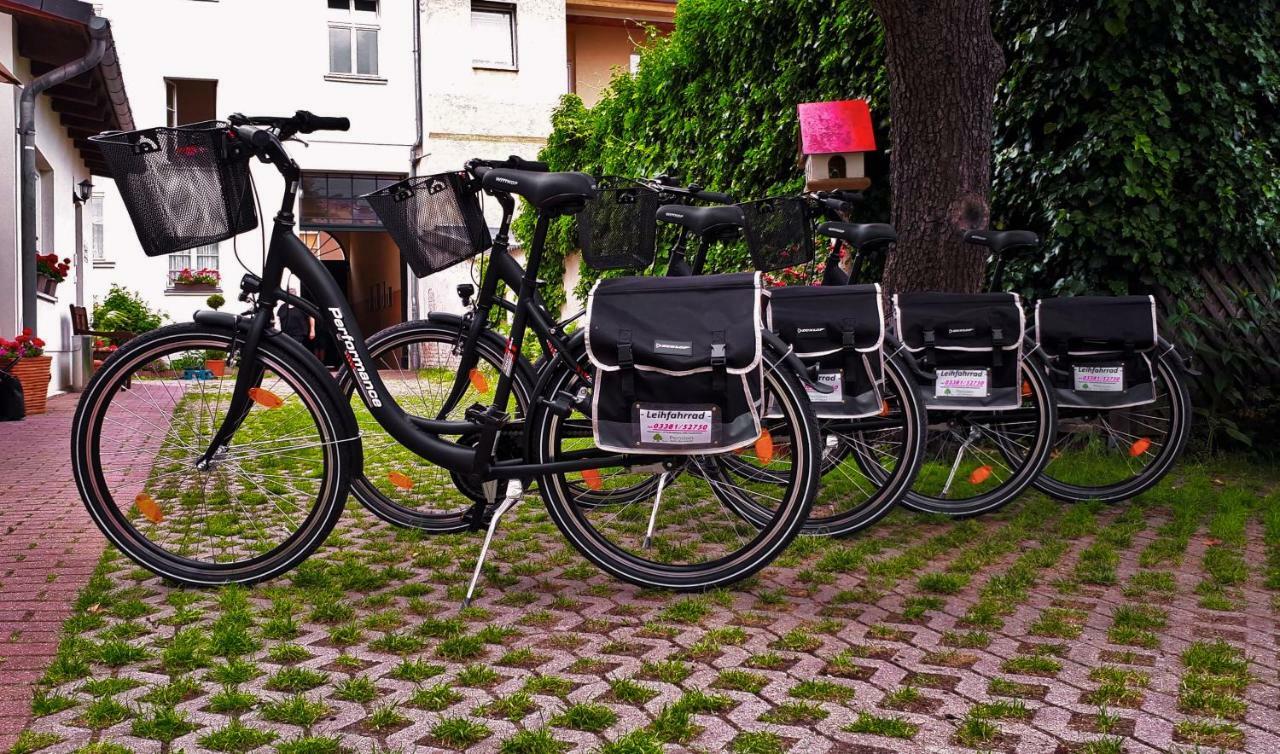 Pension Zum Birnbaum Brandenburg  Bagian luar foto